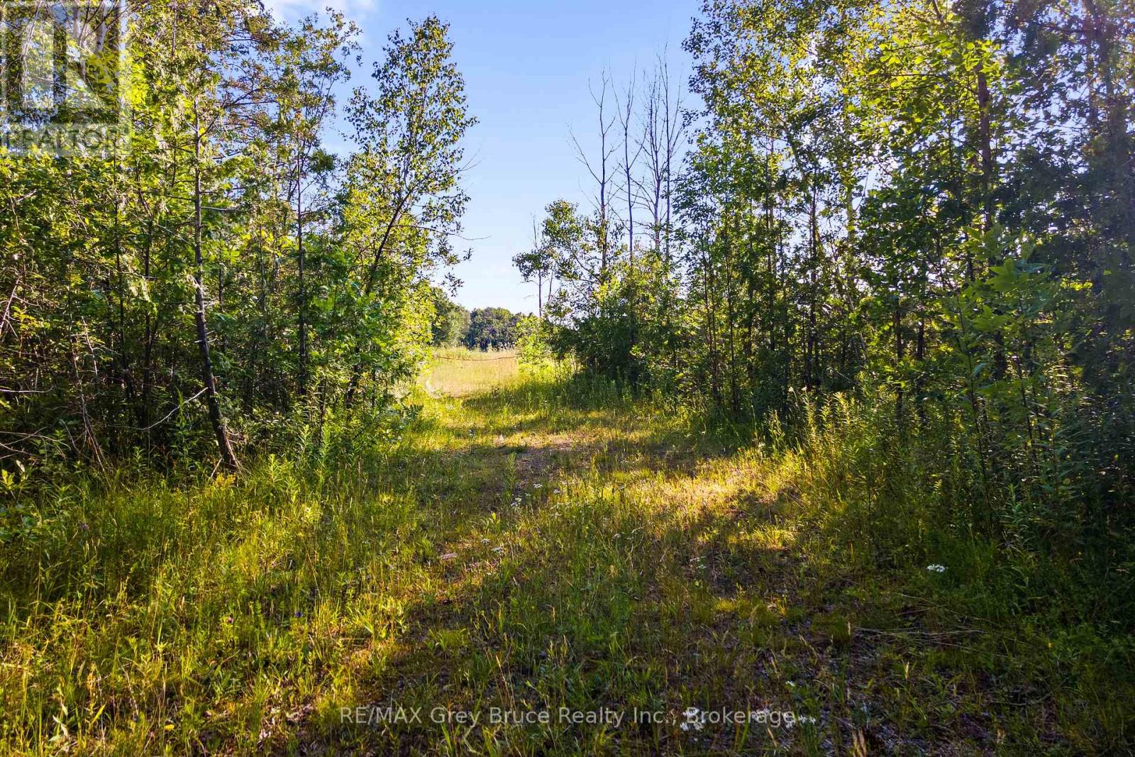 Pt 9/10 Highway 6, South Bruce Peninsula, Ontario  N0H 1Z0 - Photo 8 - X11964300