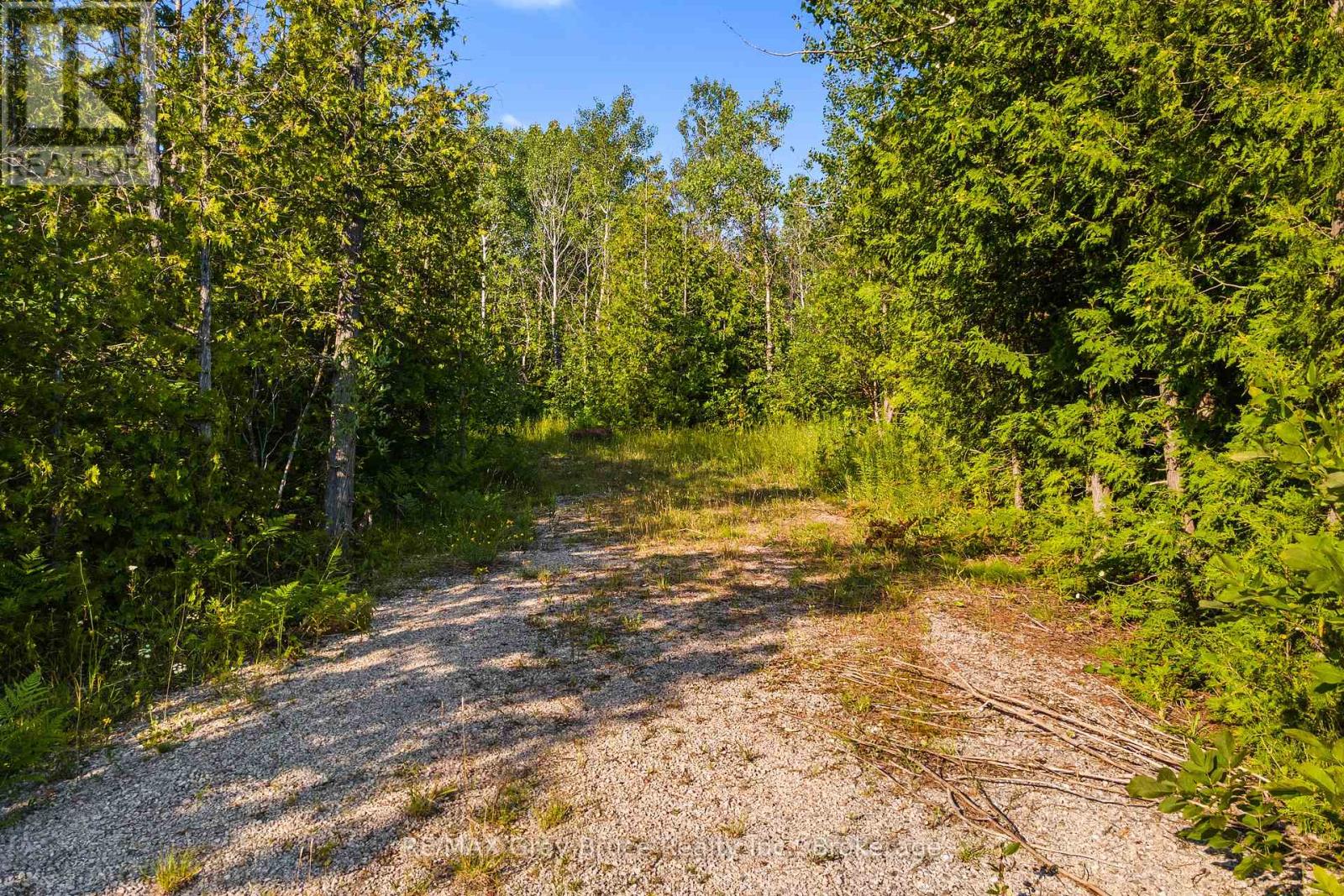 Part 10 Highway 6, Northern Bruce Peninsula, Ontario  N0H 1Z0 - Photo 11 - X11964302