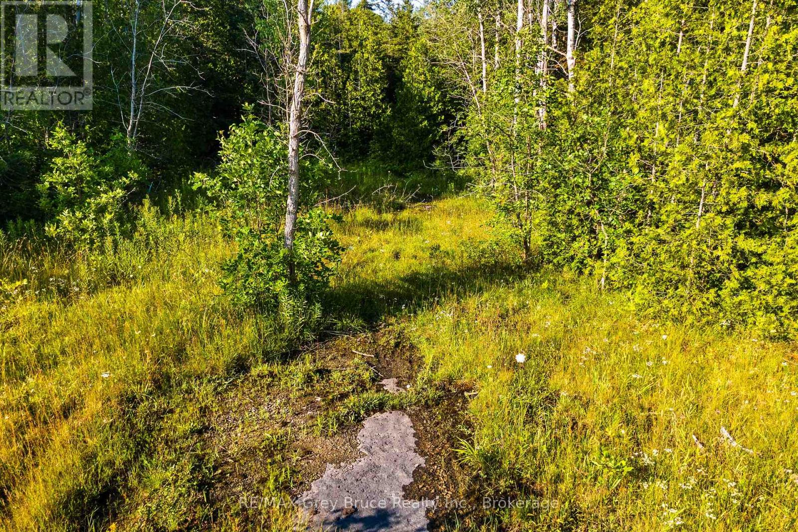 Part 10 Highway 6, Northern Bruce Peninsula, Ontario  N0H 1Z0 - Photo 14 - X11964302
