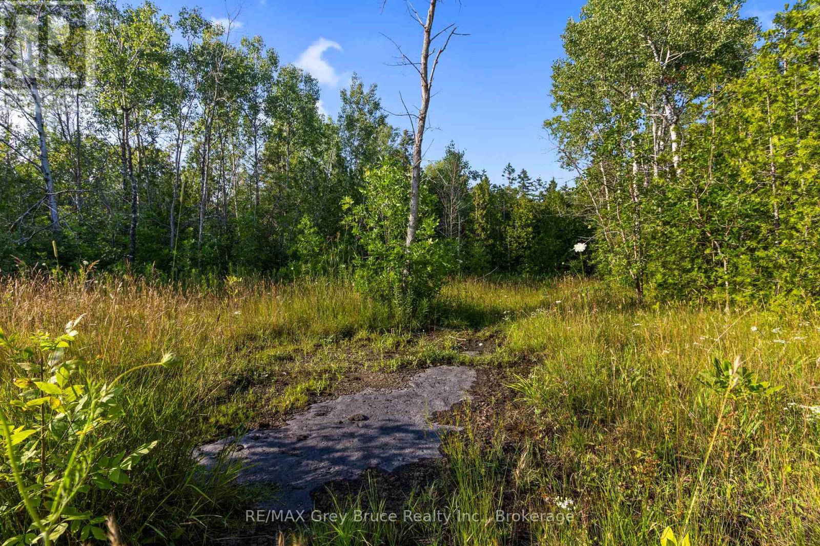 Part 10 Highway 6, Northern Bruce Peninsula, Ontario  N0H 1Z0 - Photo 18 - X11964302