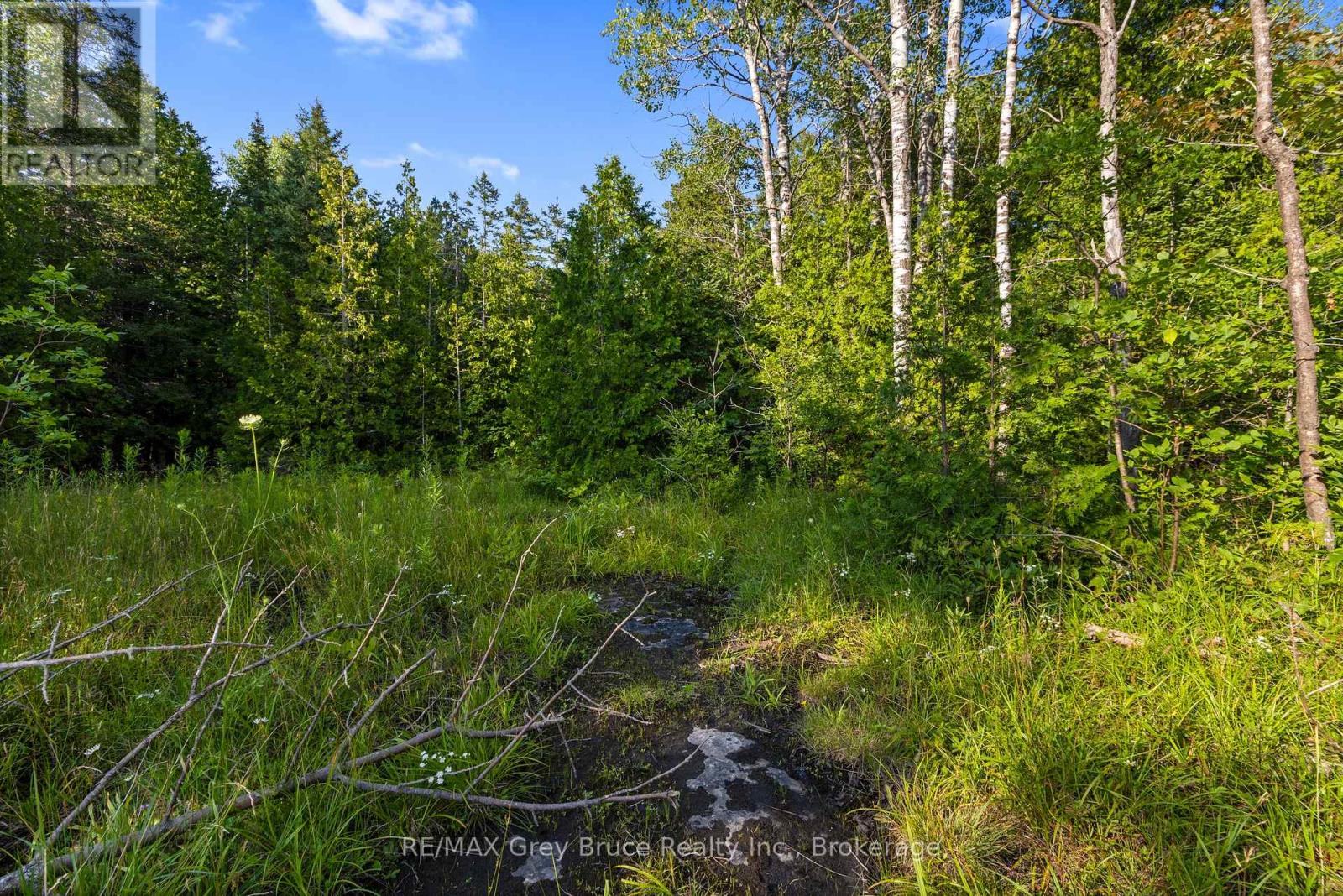 Part 10 Highway 6, Northern Bruce Peninsula, Ontario  N0H 1Z0 - Photo 19 - X11964302