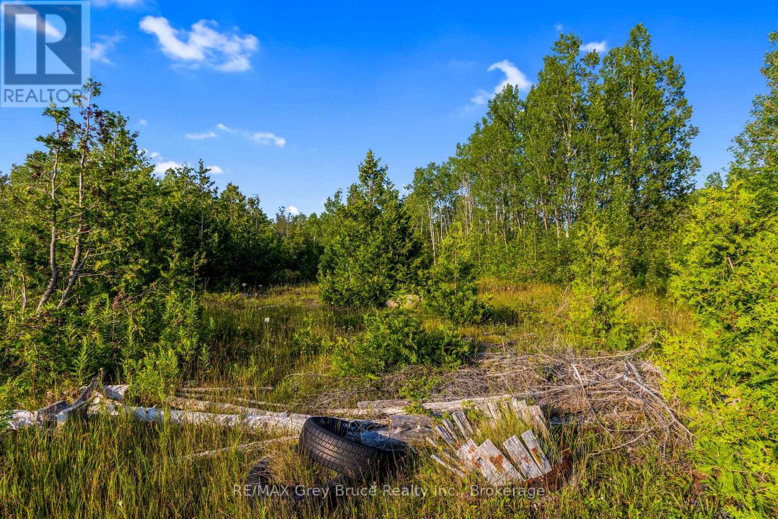 Part 10 Highway 6, Northern Bruce Peninsula, Ontario  N0H 1Z0 - Photo 28 - X11964302