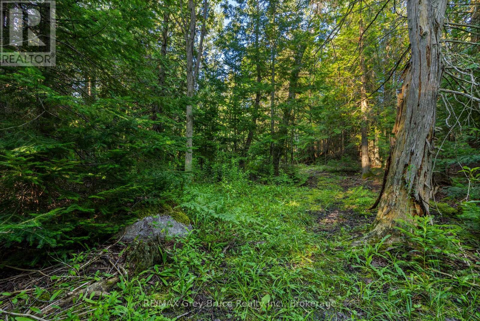 Part 10 Highway 6, Northern Bruce Peninsula, Ontario  N0H 1Z0 - Photo 34 - X11964302