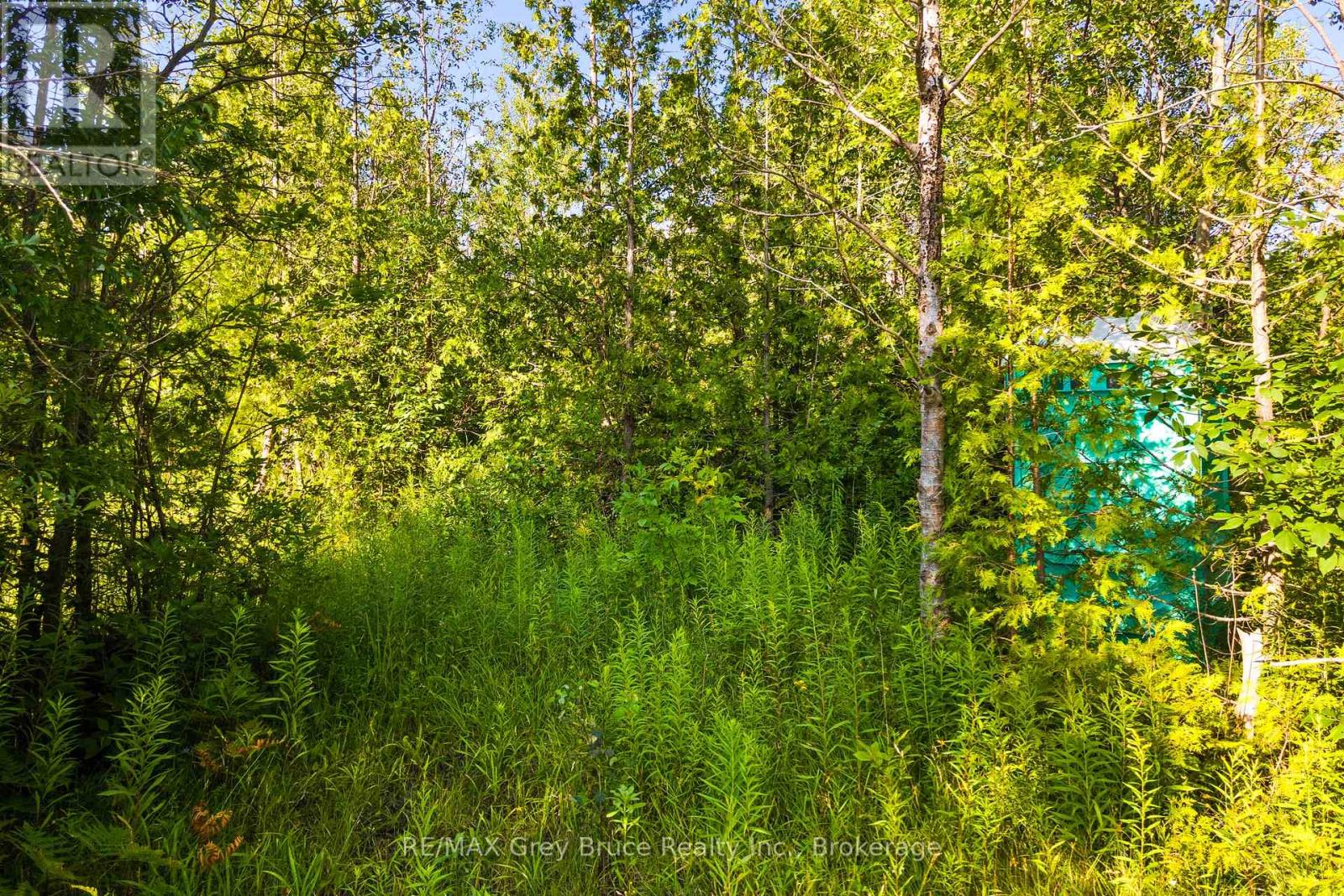 Part 10 Highway 6, Northern Bruce Peninsula, Ontario  N0H 1Z0 - Photo 40 - X11964302