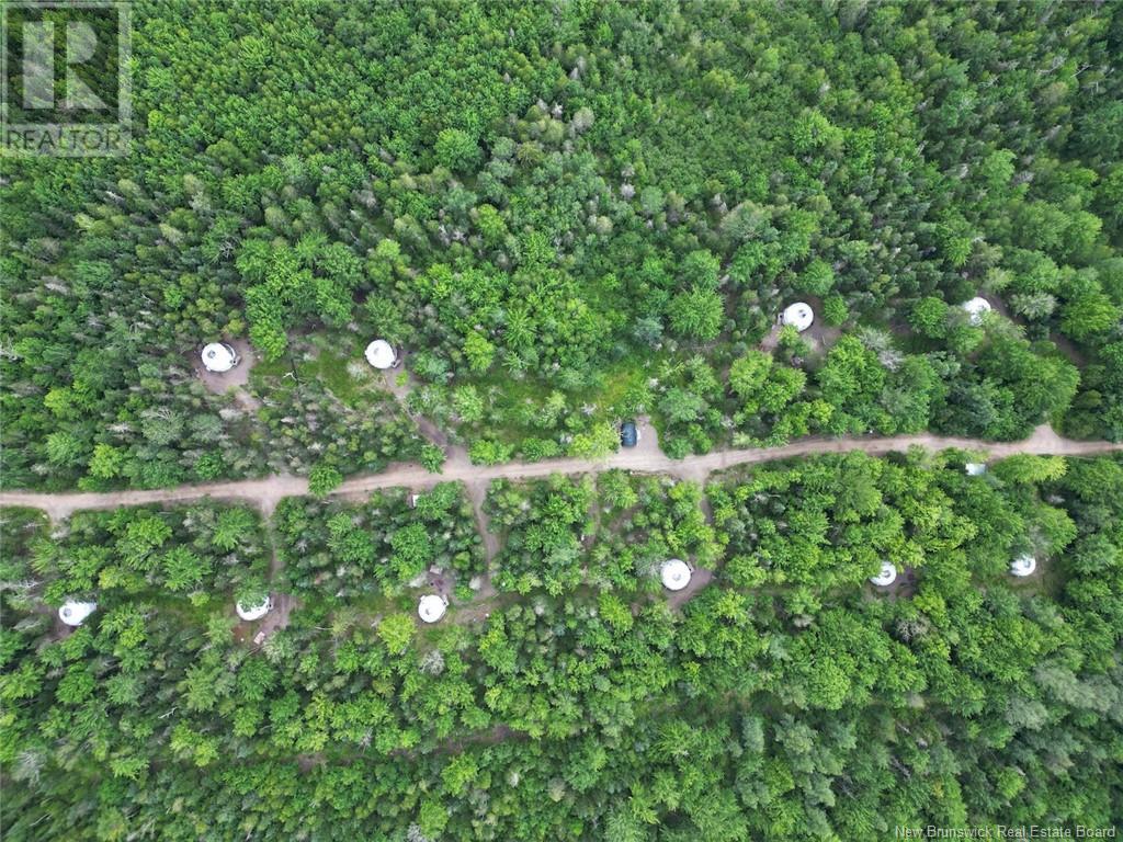 6054 Route 105, Waterborough, New Brunswick  E4C 2X8 - Photo 3 - NB112408