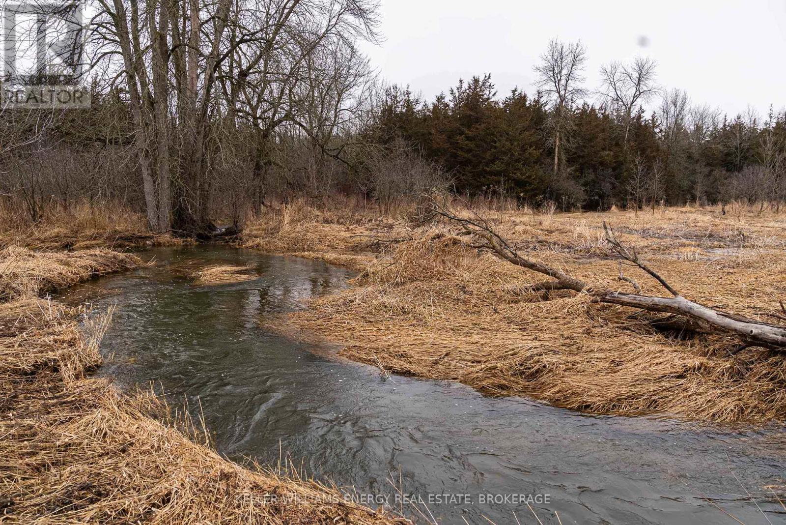 7685 County 2 Road, Greater Napanee, Ontario  K7R 3K6 - Photo 9 - X11964666