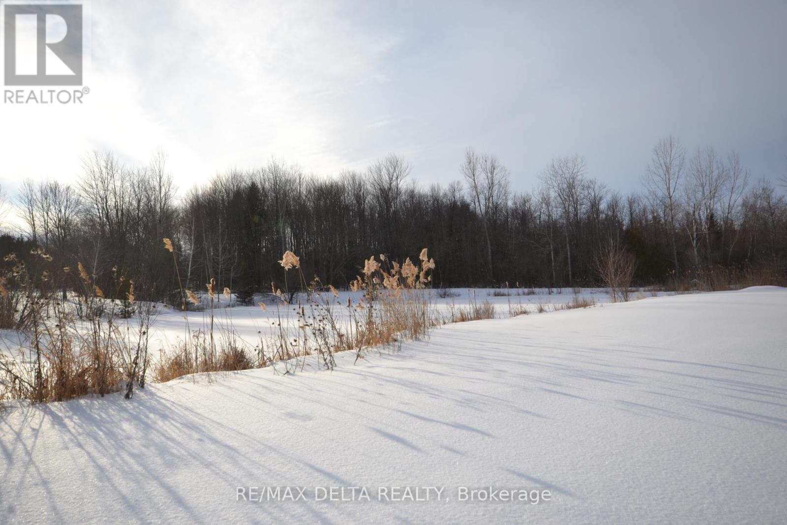 3888 Schnupp Road, Clarence-Rockland, Ontario  K0A 1E0 - Photo 39 - X10418973