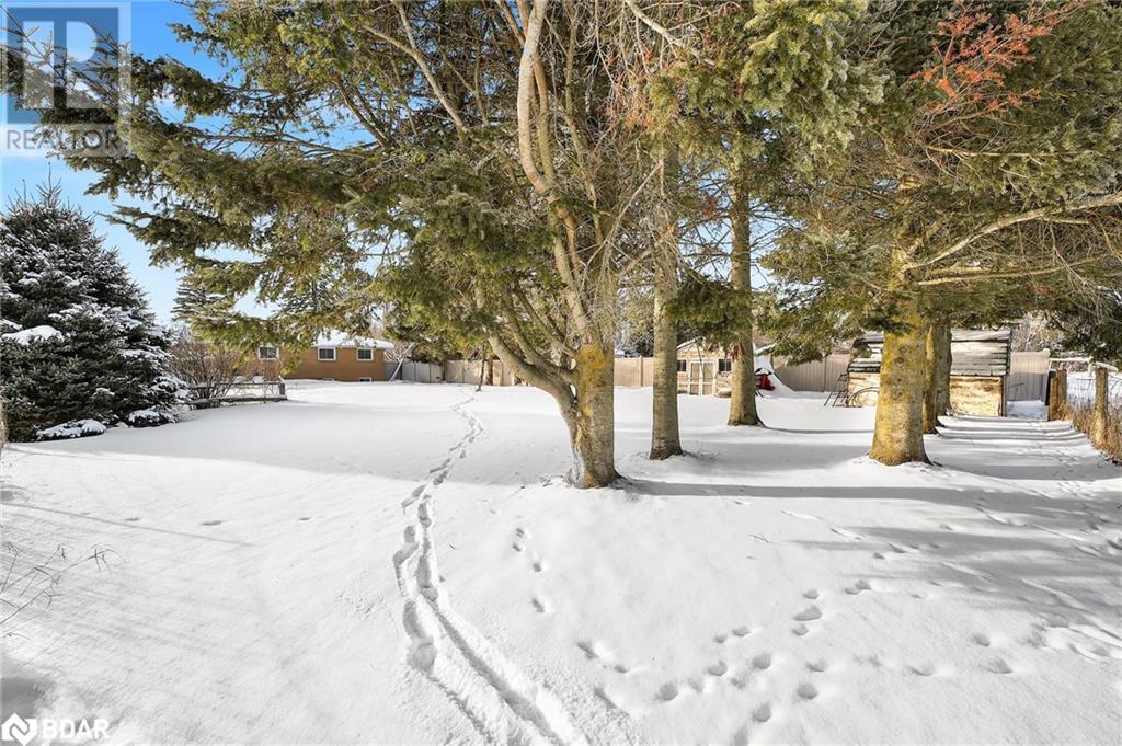 7925 10 County Road, Angus, Ontario  L0M 1B1 - Photo 22 - 40695460