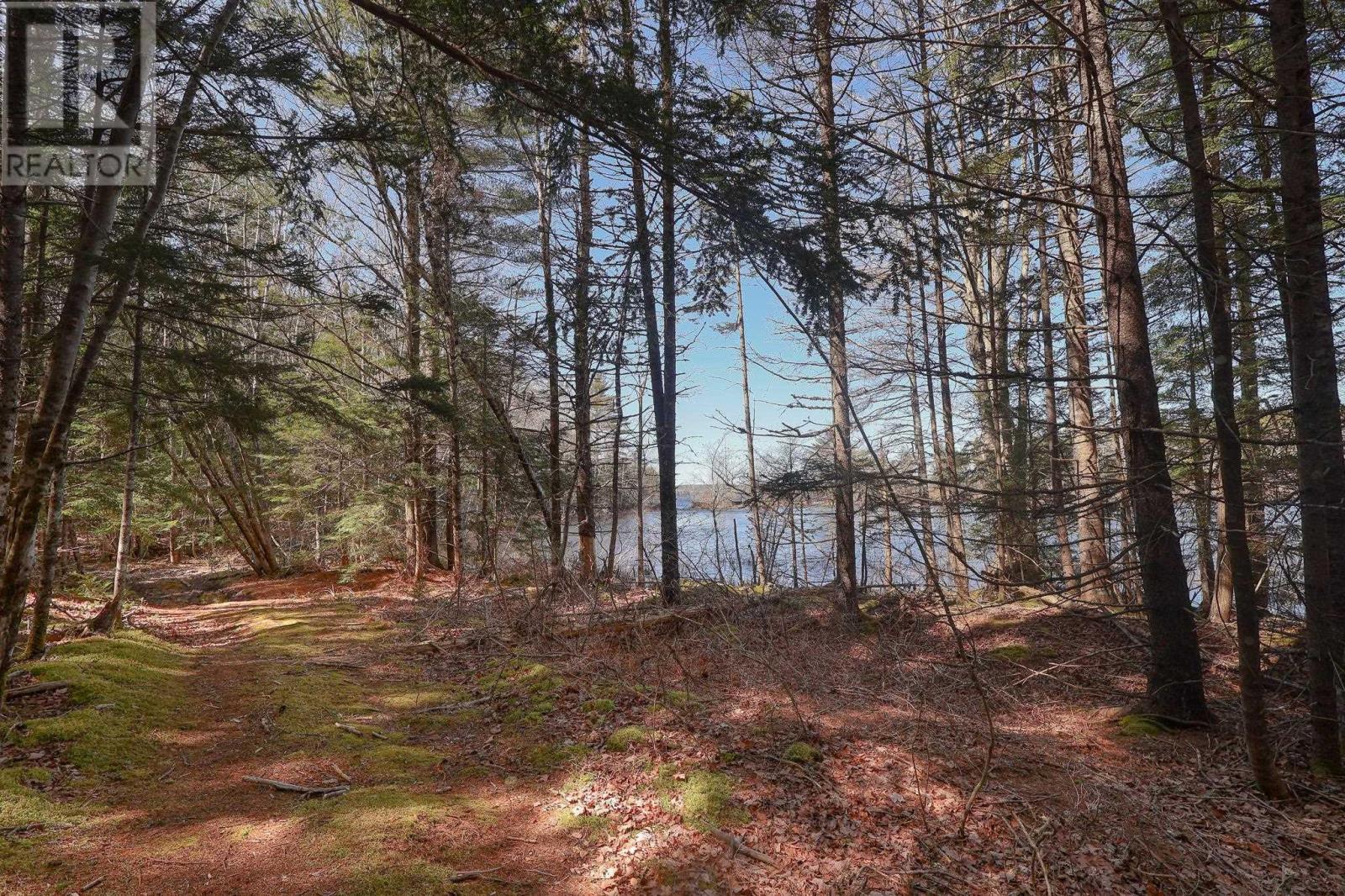 1562 Cornwall Road, Lower New Cornwall, Nova Scotia  B0J 2E0 - Photo 25 - 202502613