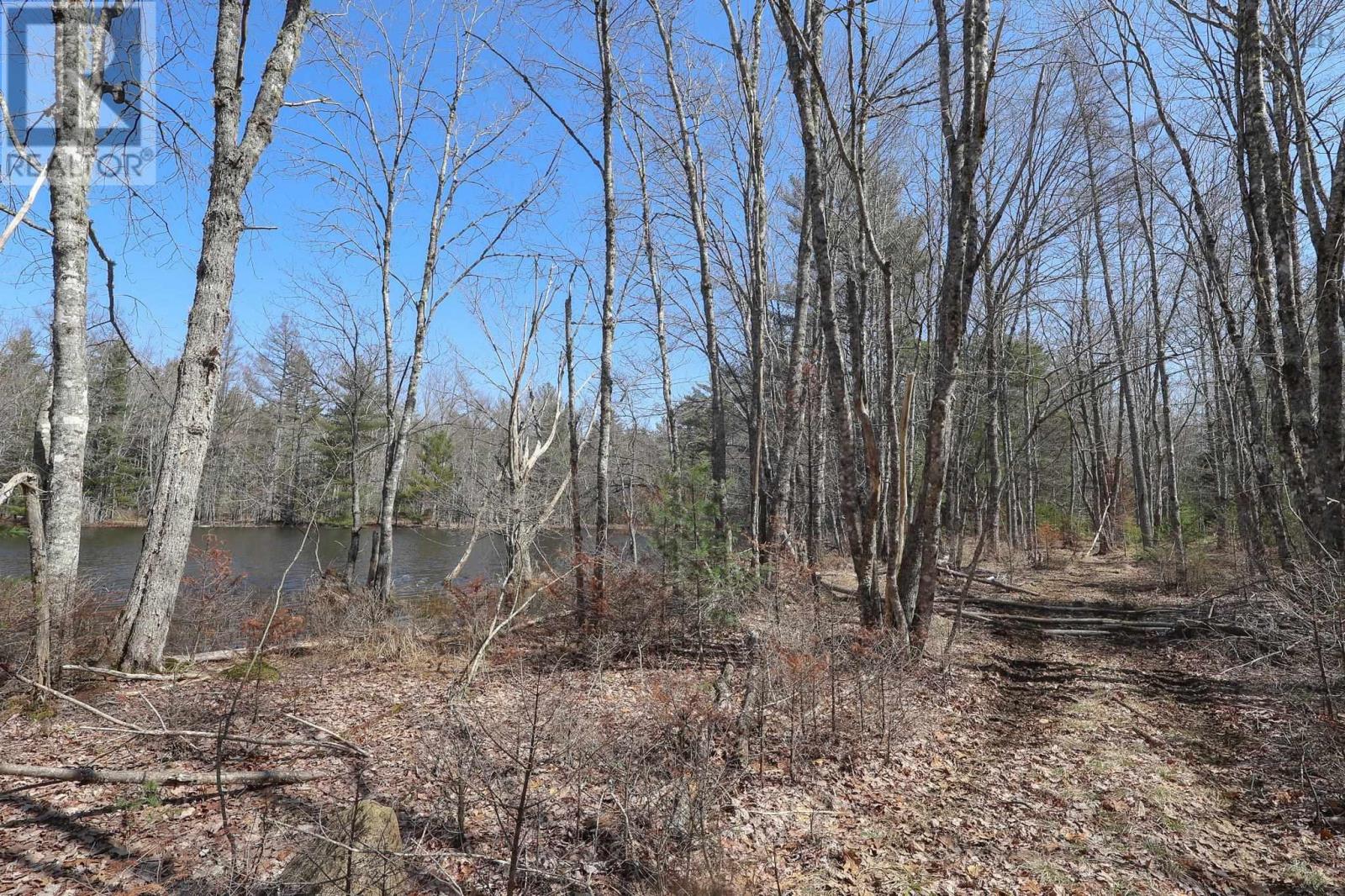 1562 Cornwall Road, Lower New Cornwall, Nova Scotia  B0J 2E0 - Photo 30 - 202502613