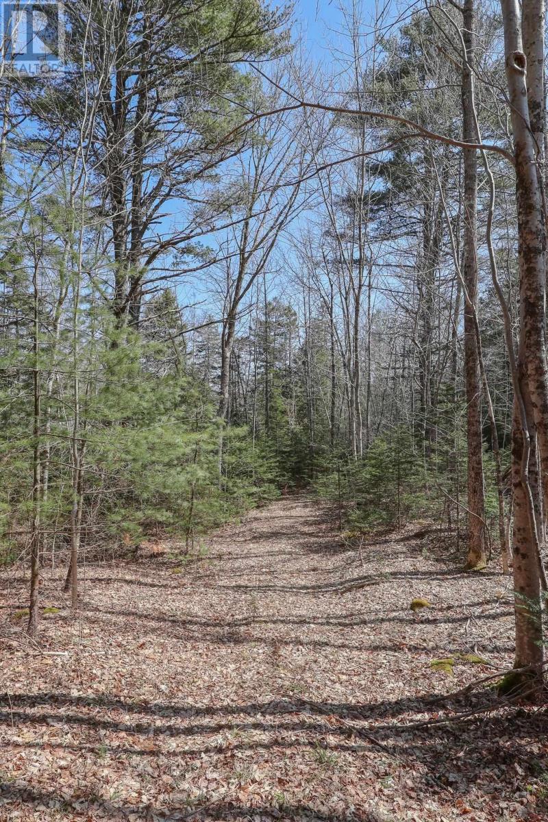 1562 Cornwall Road, Lower New Cornwall, Nova Scotia  B0J 2E0 - Photo 32 - 202502613