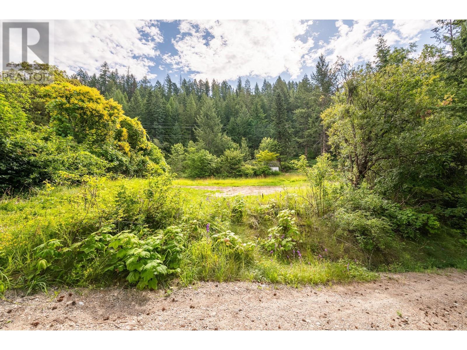 13828 3a Highway, Gray Creek, British Columbia  V0B 1S0 - Photo 40 - 10334428