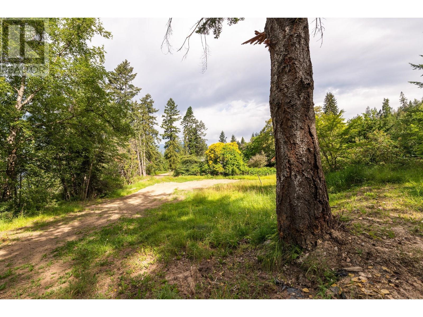 13828 3a Highway, Gray Creek, British Columbia  V0B 1S0 - Photo 42 - 10334428