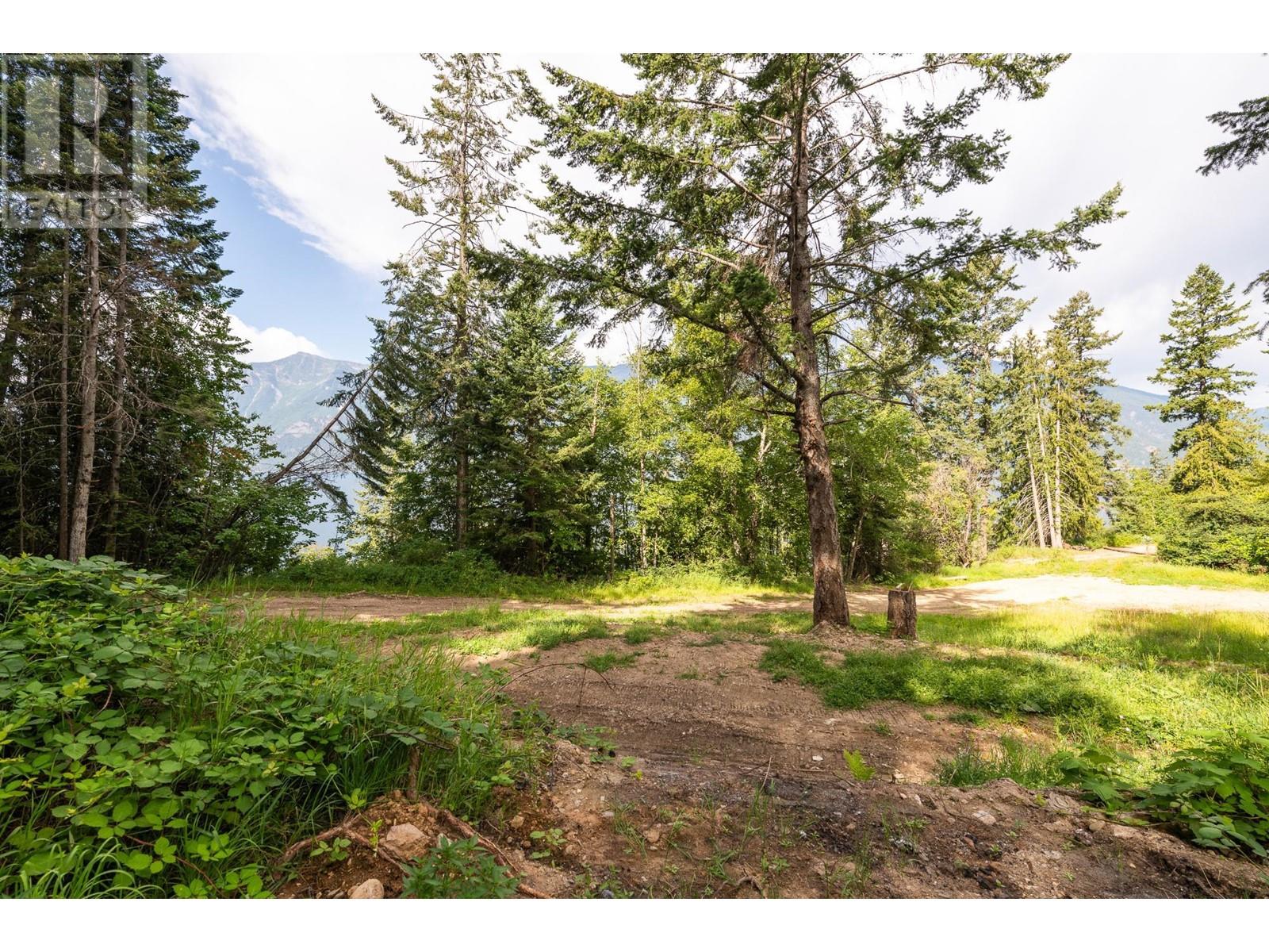 13828 3a Highway, Gray Creek, British Columbia  V0B 1S0 - Photo 43 - 10334428