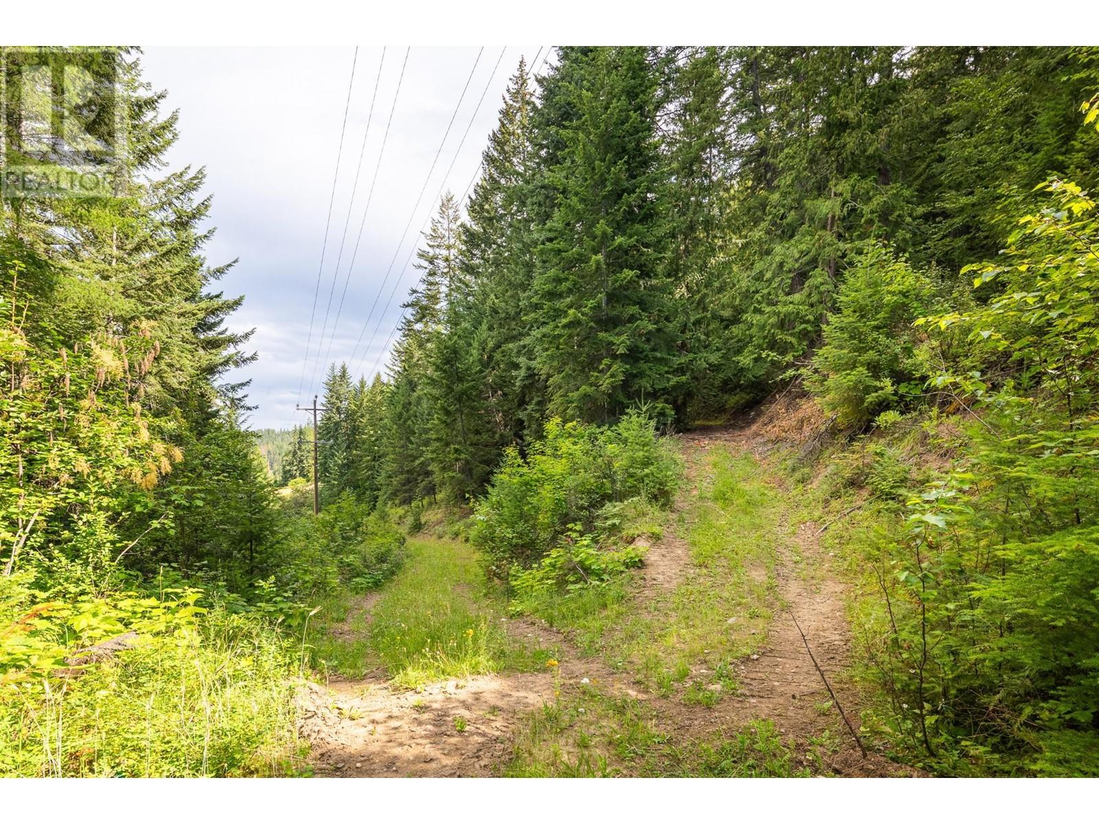 13828 3a Highway, Gray Creek, British Columbia  V0B 1S0 - Photo 48 - 10334428