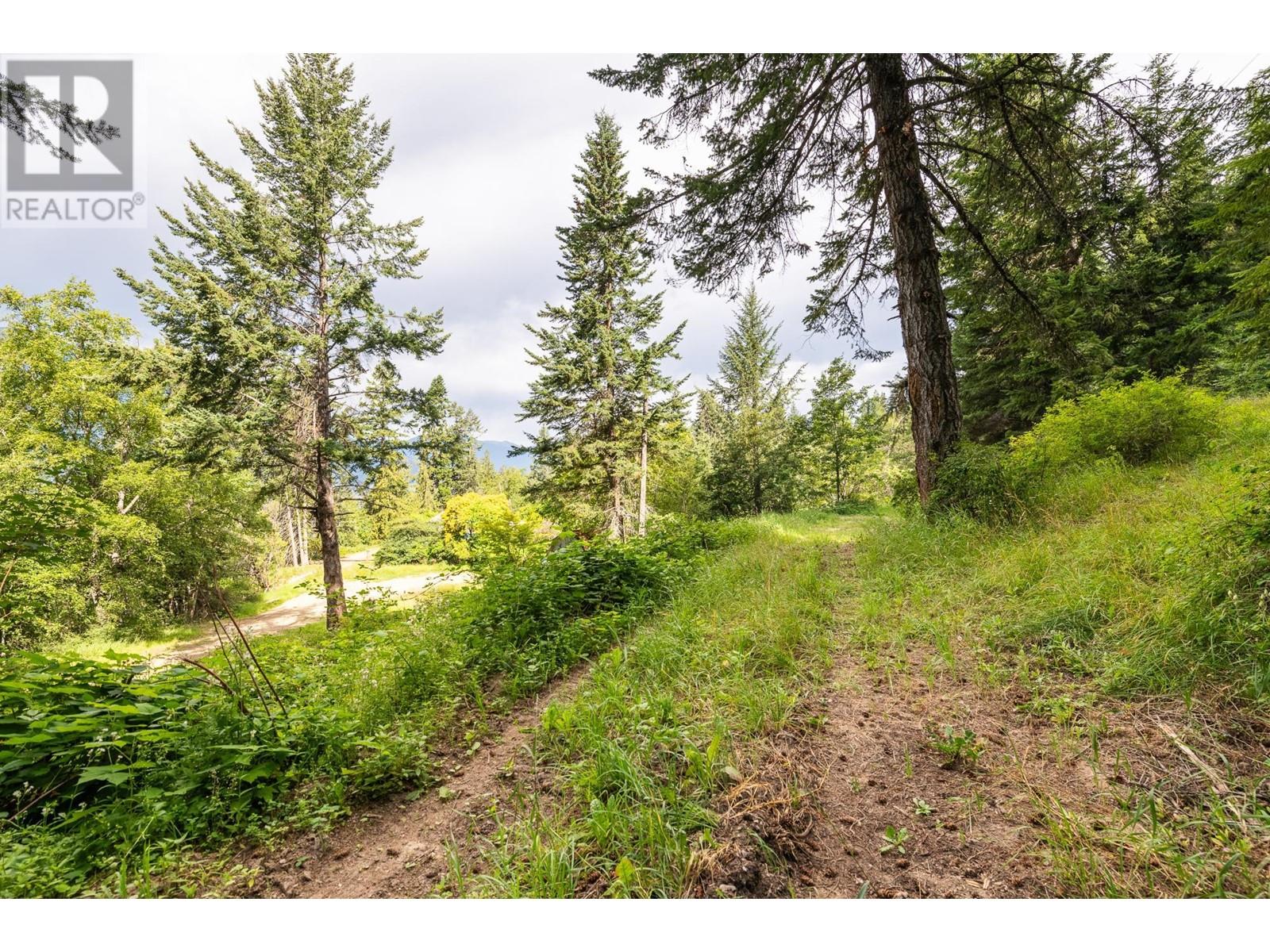 13828 3a Highway, Gray Creek, British Columbia  V0B 1S0 - Photo 51 - 10334428