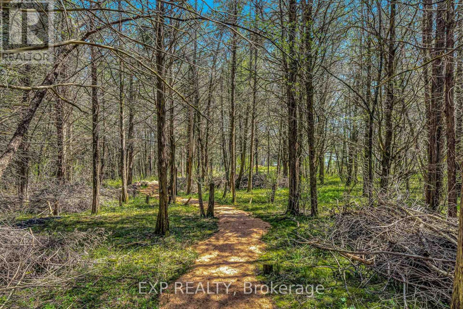 1207 County Rd 9 Road, Greater Napanee, Ontario  K7R 3K8 - Photo 41 - X11965689