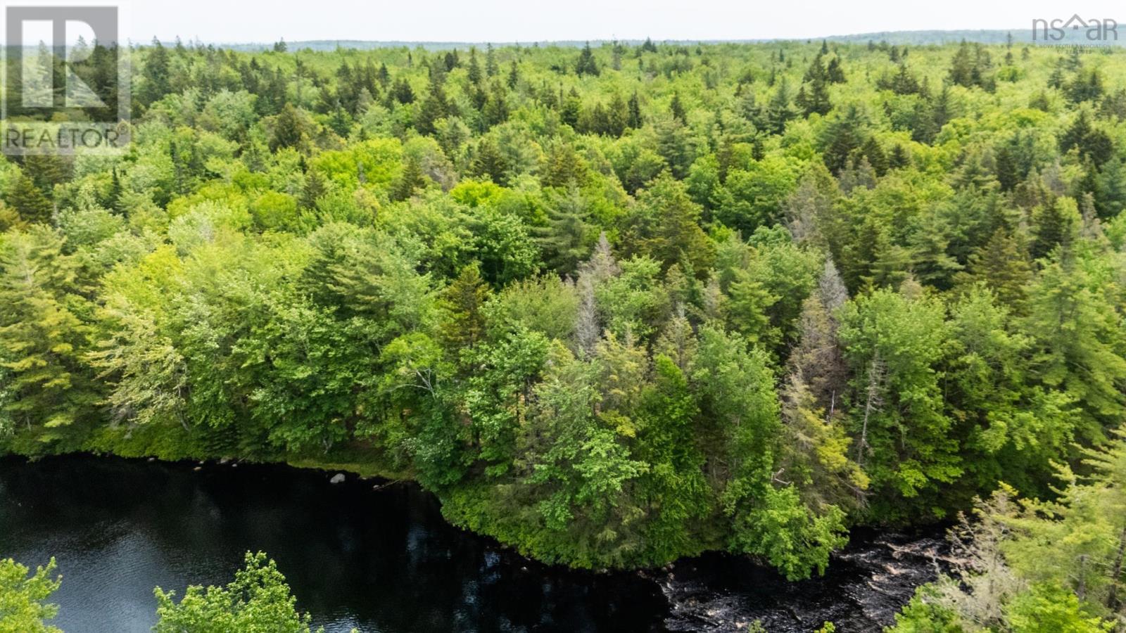 649 Back Road, East Kemptville, Nova Scotia  B5A 5P2 - Photo 13 - 202502641