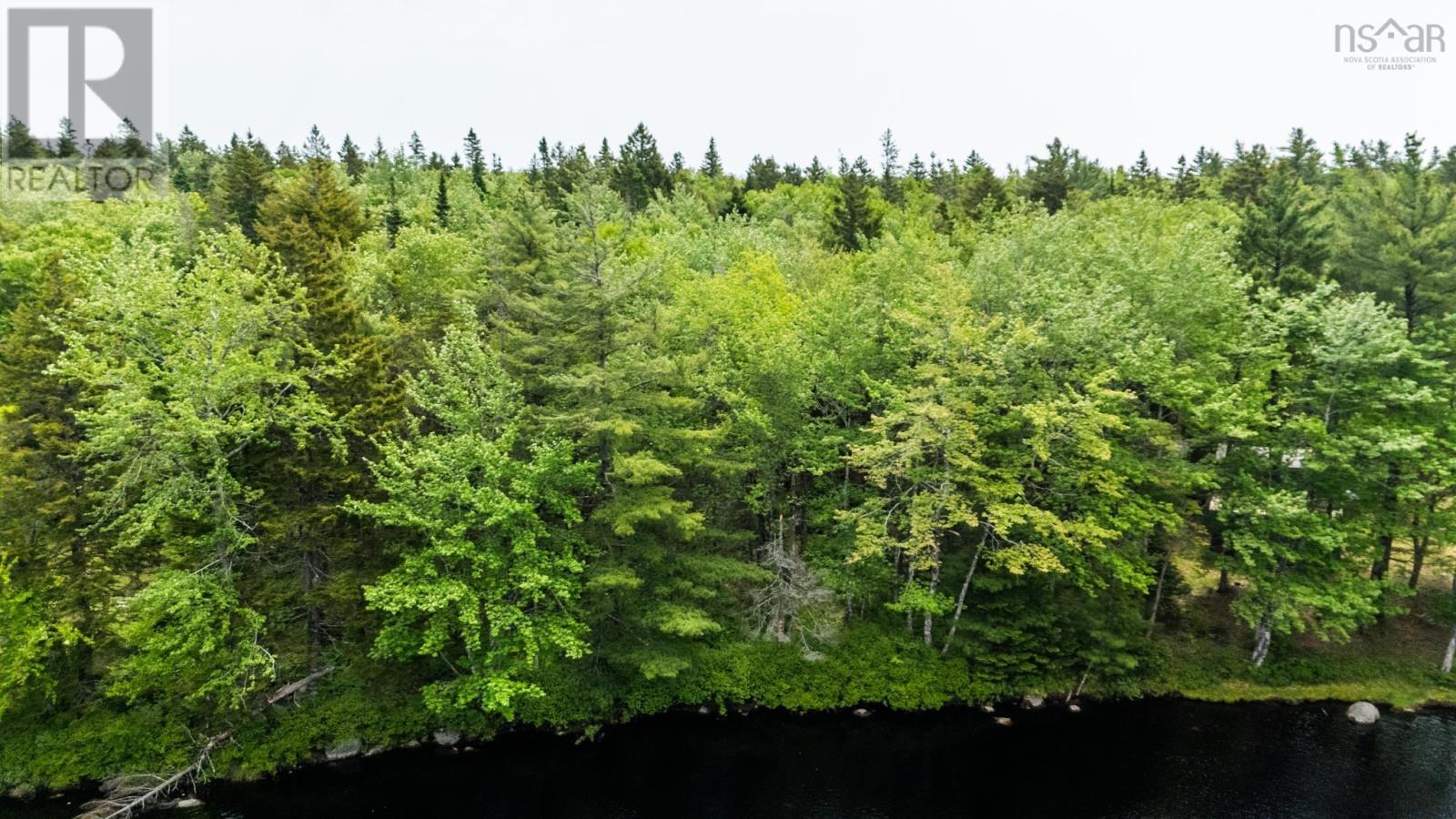 649 Back Road, East Kemptville, Nova Scotia  B5A 5P2 - Photo 15 - 202502641