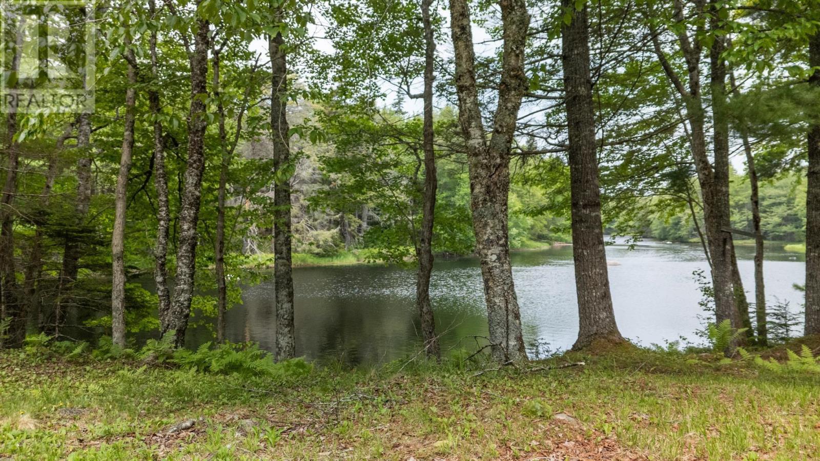 649 Back Road, East Kemptville, Nova Scotia  B5A 5P2 - Photo 9 - 202502641