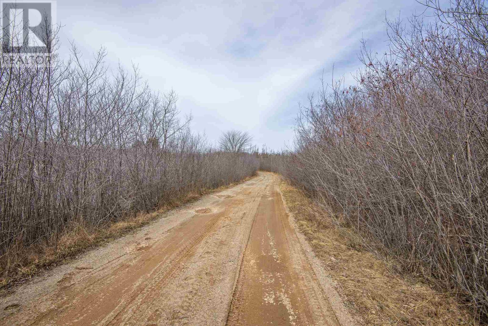 Lot Flat Iron Road, Conway, Nova Scotia  B0V 1A0 - Photo 19 - 202502660