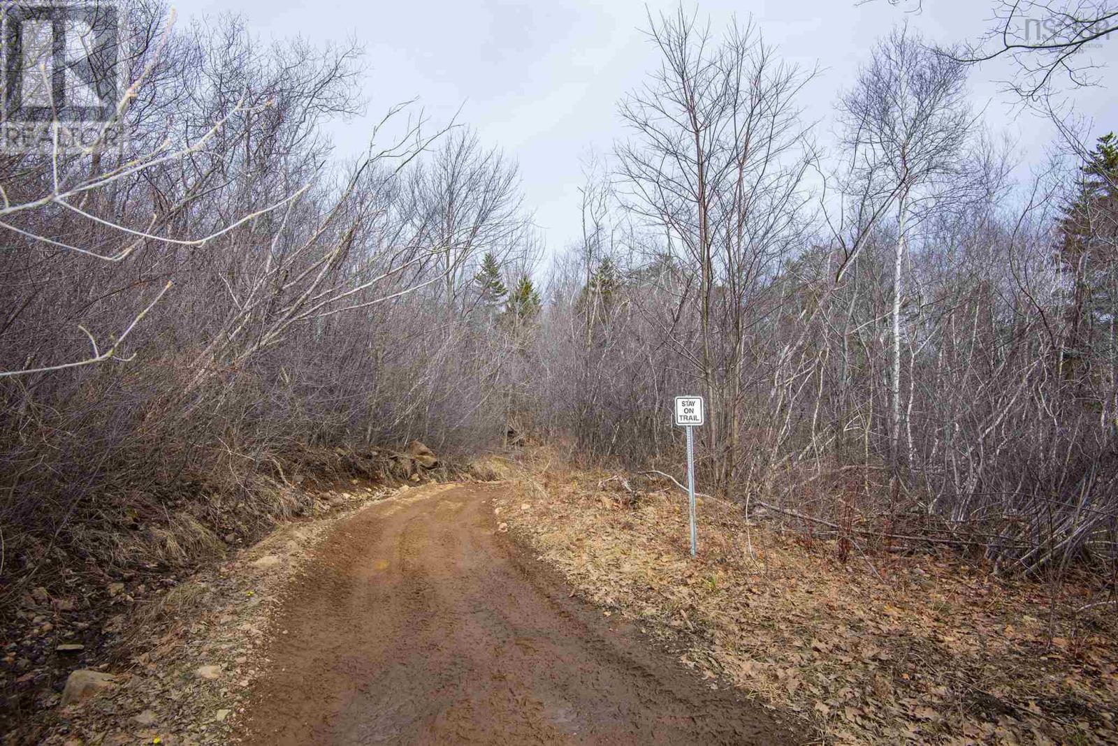 Lot Flat Iron Road, Conway, Nova Scotia  B0V 1A0 - Photo 28 - 202502660