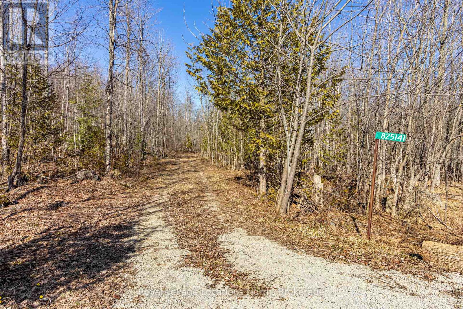 825141 GREY ROAD 40 ROAD, Grey Highlands, Ontario