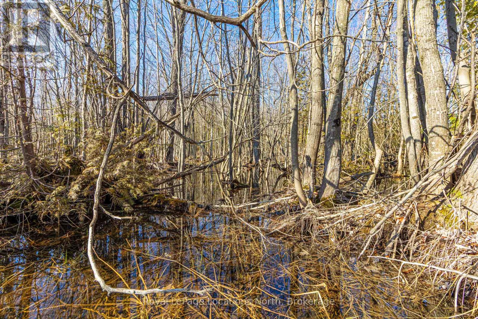 825141 Grey Road 40 Road, Grey Highlands, Ontario  N0H 2S0 - Photo 8 - X11966098