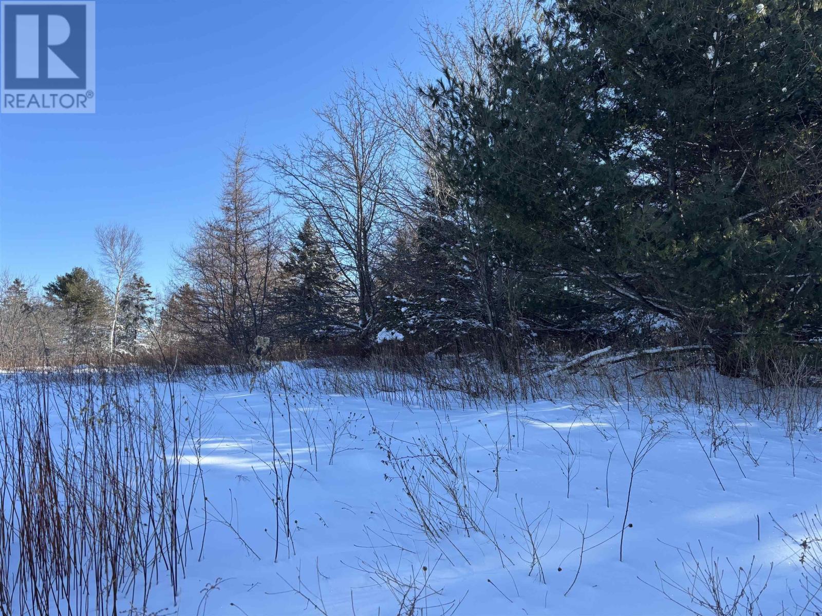 11 Parker Lane, Porters Lake, Nova Scotia  B3E 1E5 - Photo 23 - 202502661
