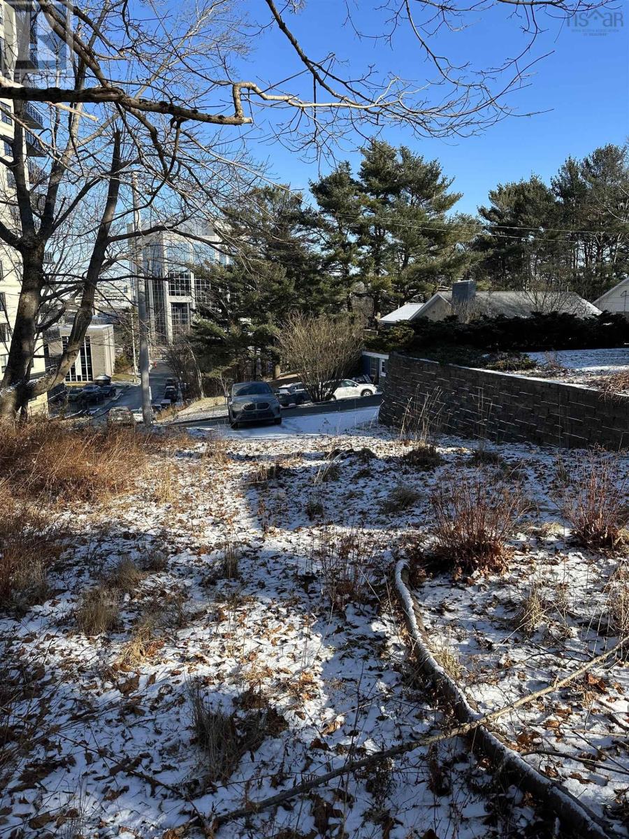 5 Craigmore Drive, Halifax, Nova Scotia  B3N 1M3 - Photo 10 - 202502666