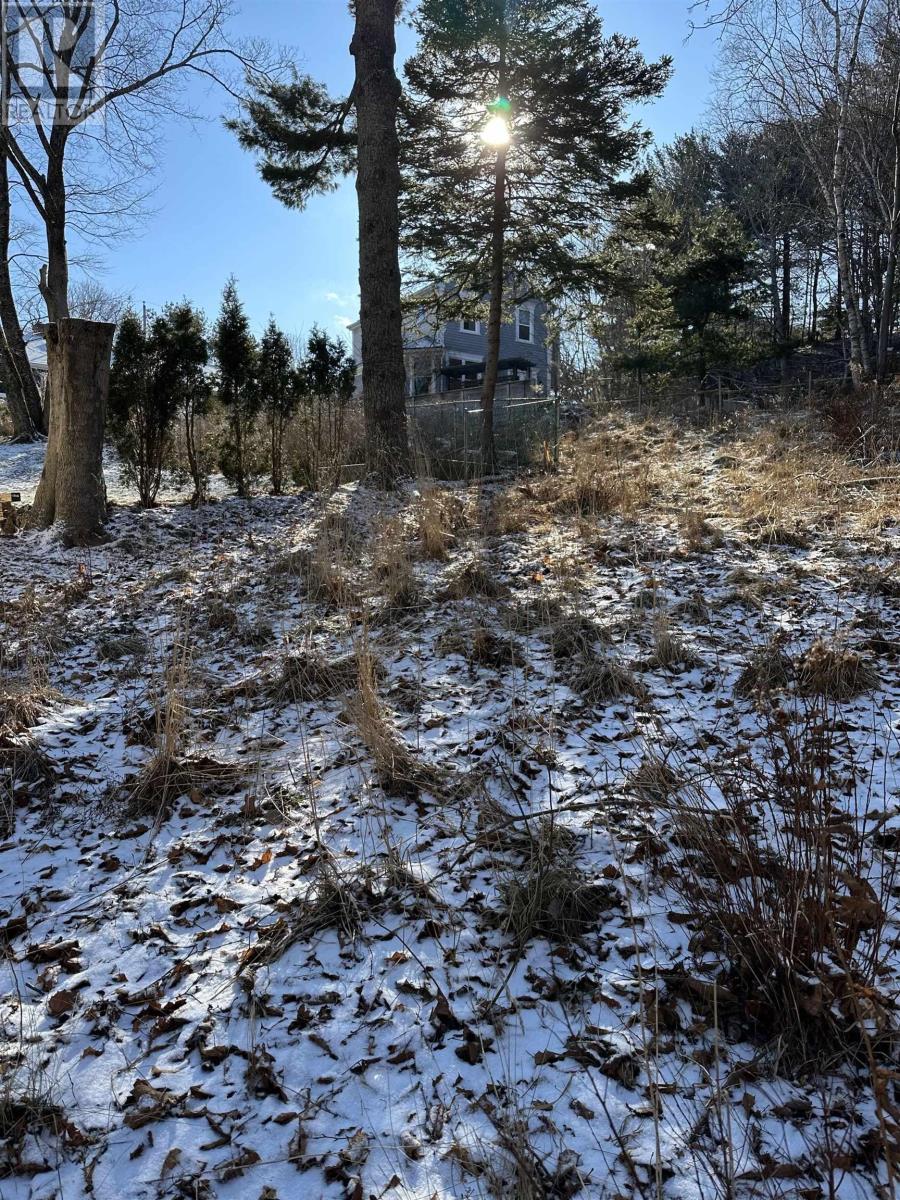 5 Craigmore Drive, Halifax, Nova Scotia  B3N 1M3 - Photo 9 - 202502666