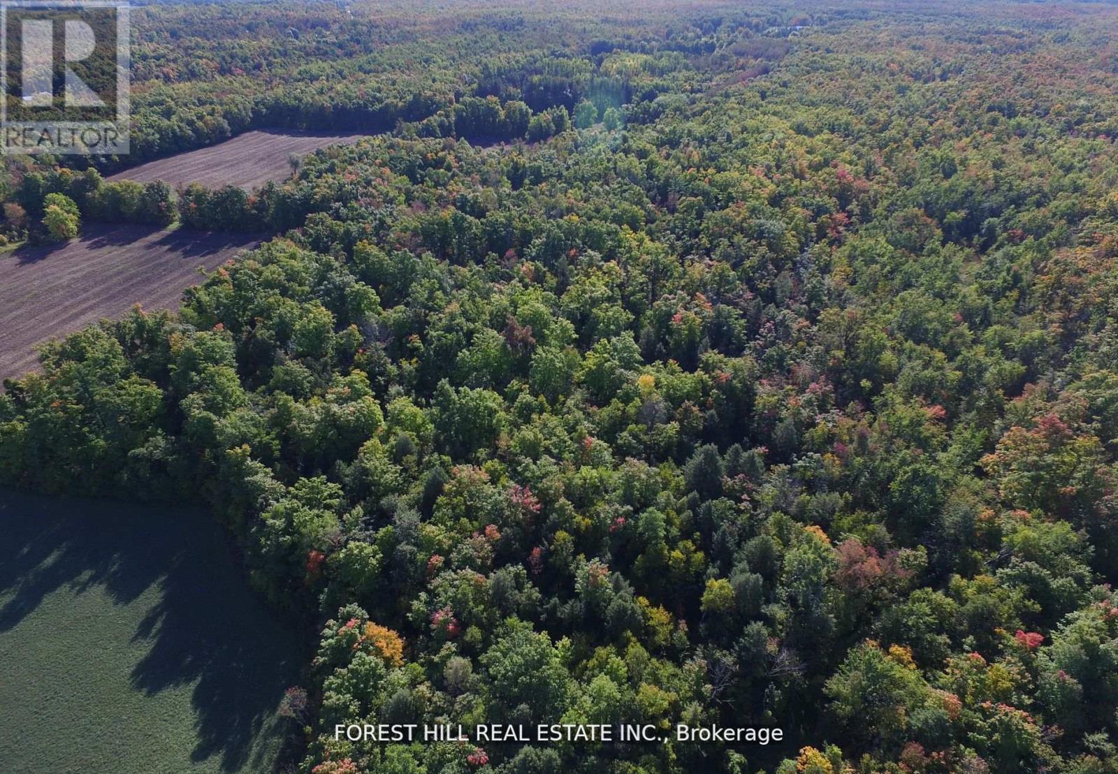 7406 17 Side Road, Halton Hills, Ontario  L7J 2M1 - Photo 13 - W11966455