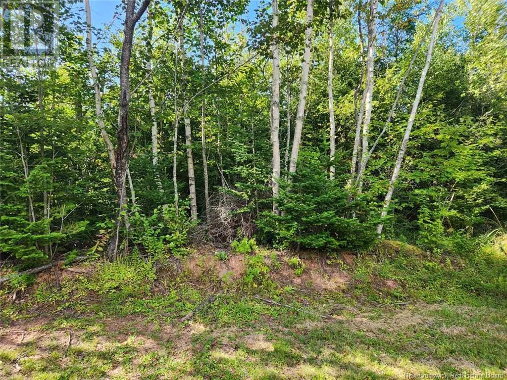 Property at 2 Chignecto Lane image