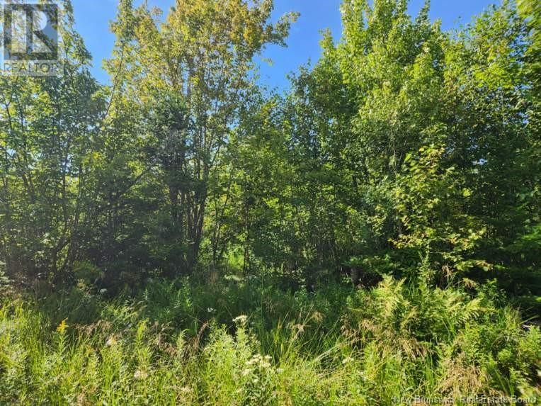 Property at 2 Chignecto Lane image