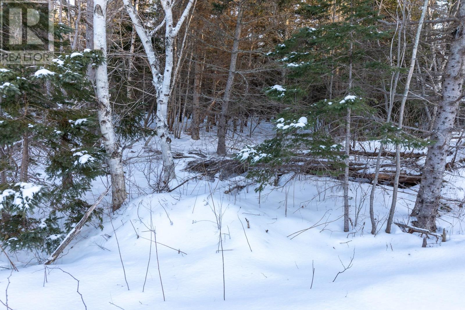 Lot 18 Swallow Point Road, Goose River, Prince Edward Island  C0A 2A0 - Photo 10 - 202502695
