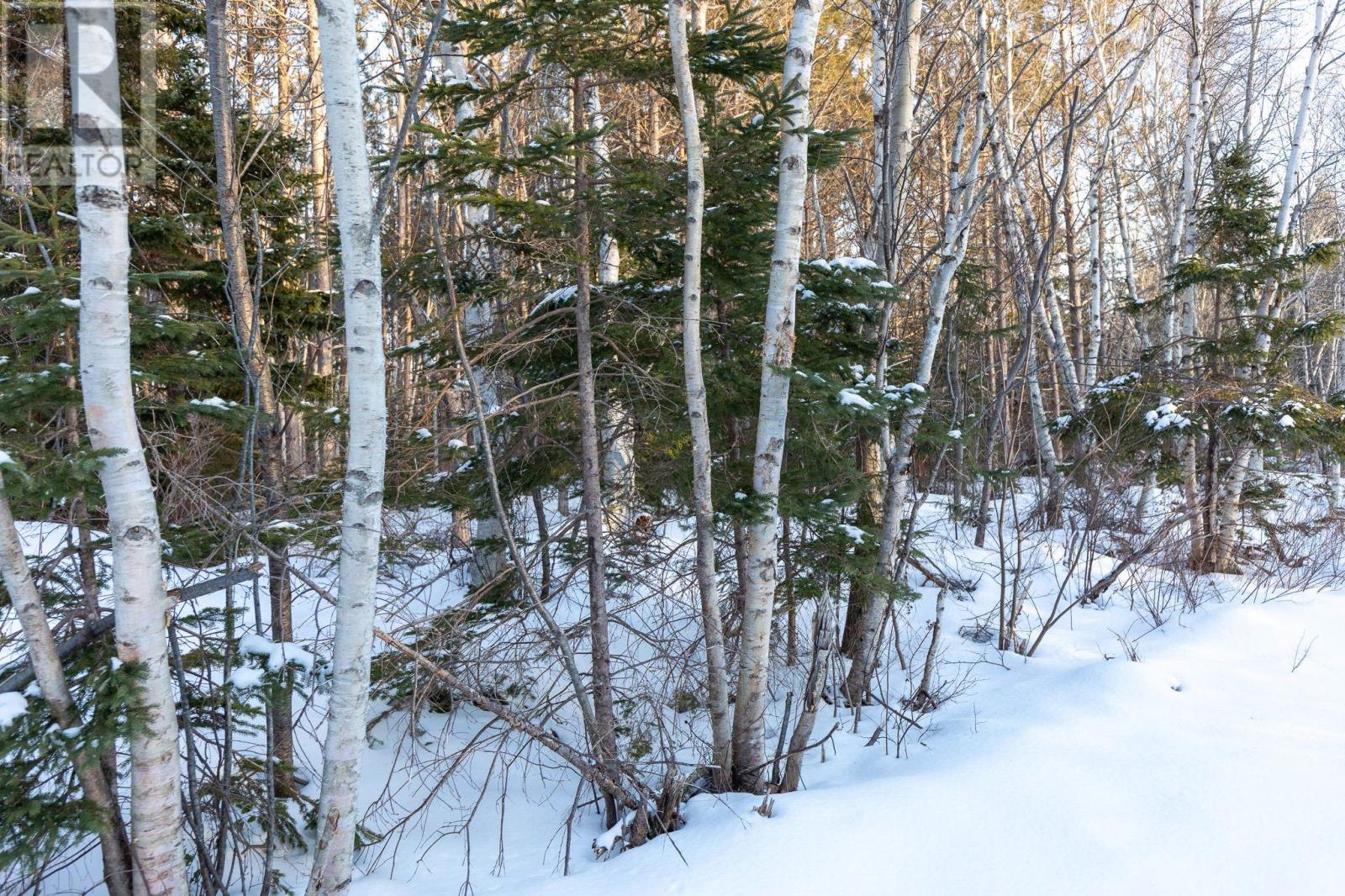 Lot 18 Swallow Point Road, Goose River, Prince Edward Island  C0A 2A0 - Photo 9 - 202502695