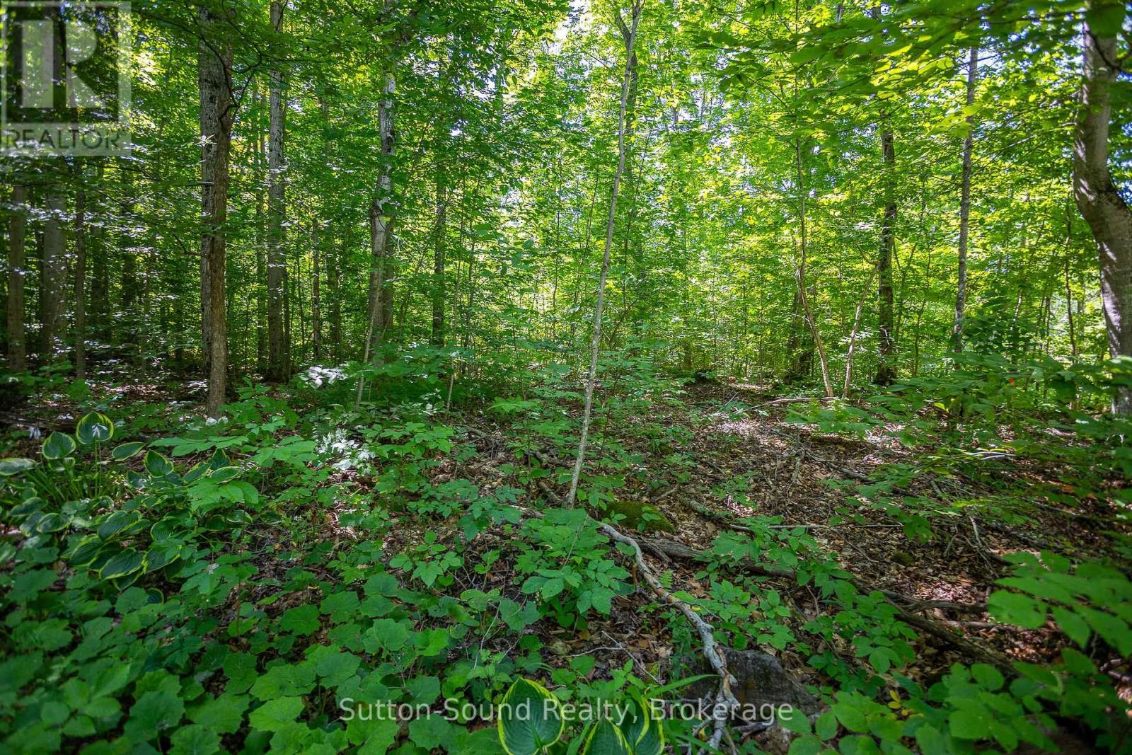 132 Big Rock Road, Georgian Bluffs, Ontario  N0H 2K0 - Photo 12 - X11967739