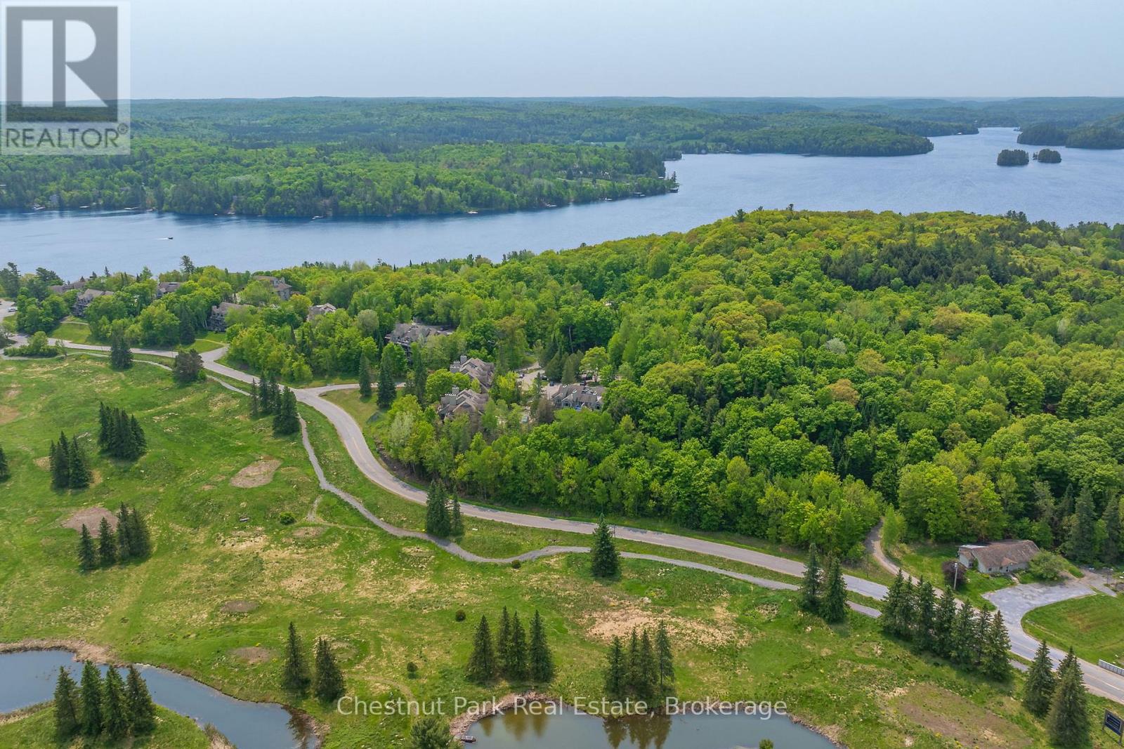 3831 Grandview Forest Hill Drive, Huntsville, Ontario  P1H 2J5 - Photo 37 - X11968115