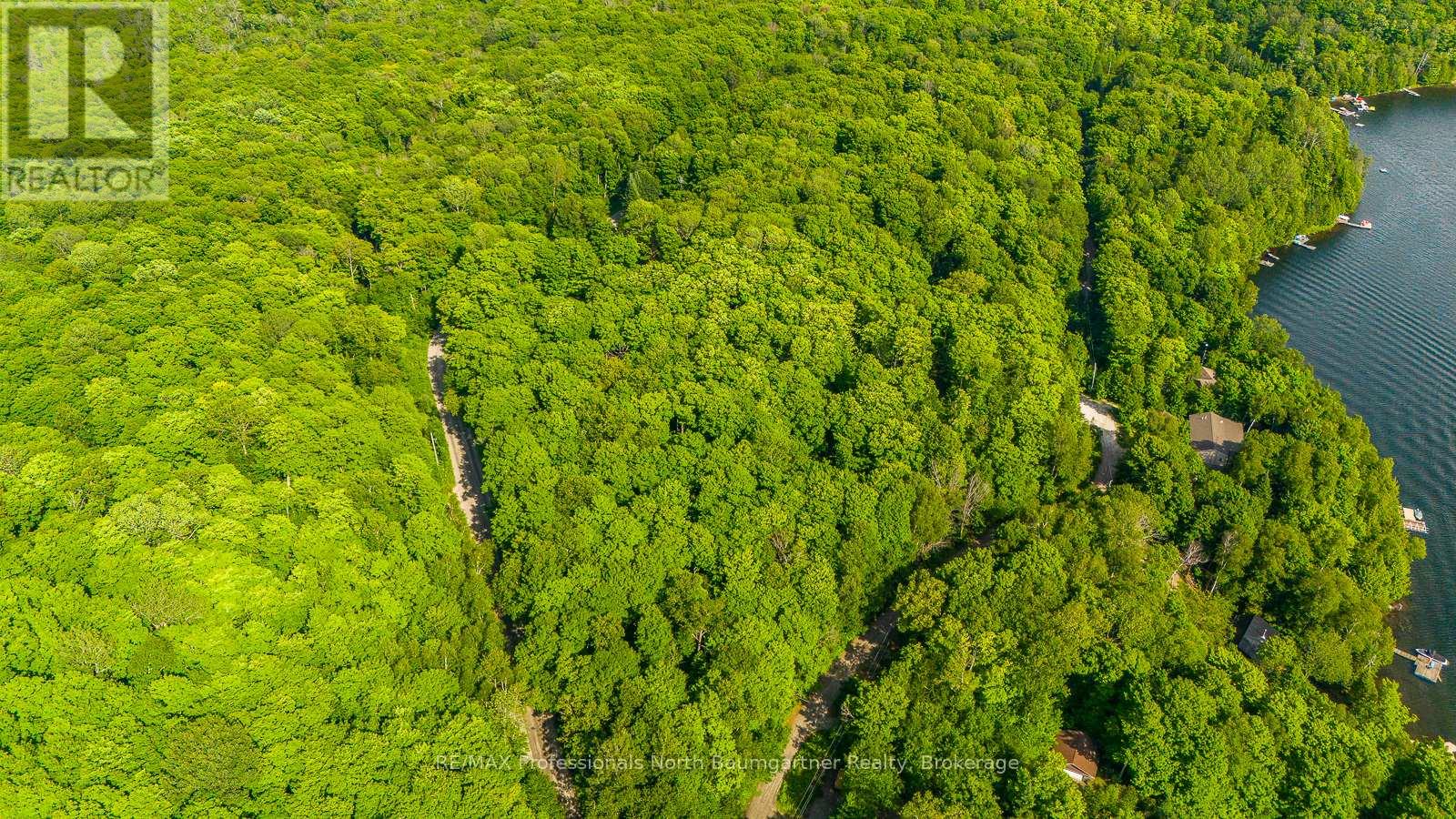Lt 51 Wenona Lake Road, Dysart Et Al (Dudley), Ontario  K0M 1S0 - Photo 15 - X11953943