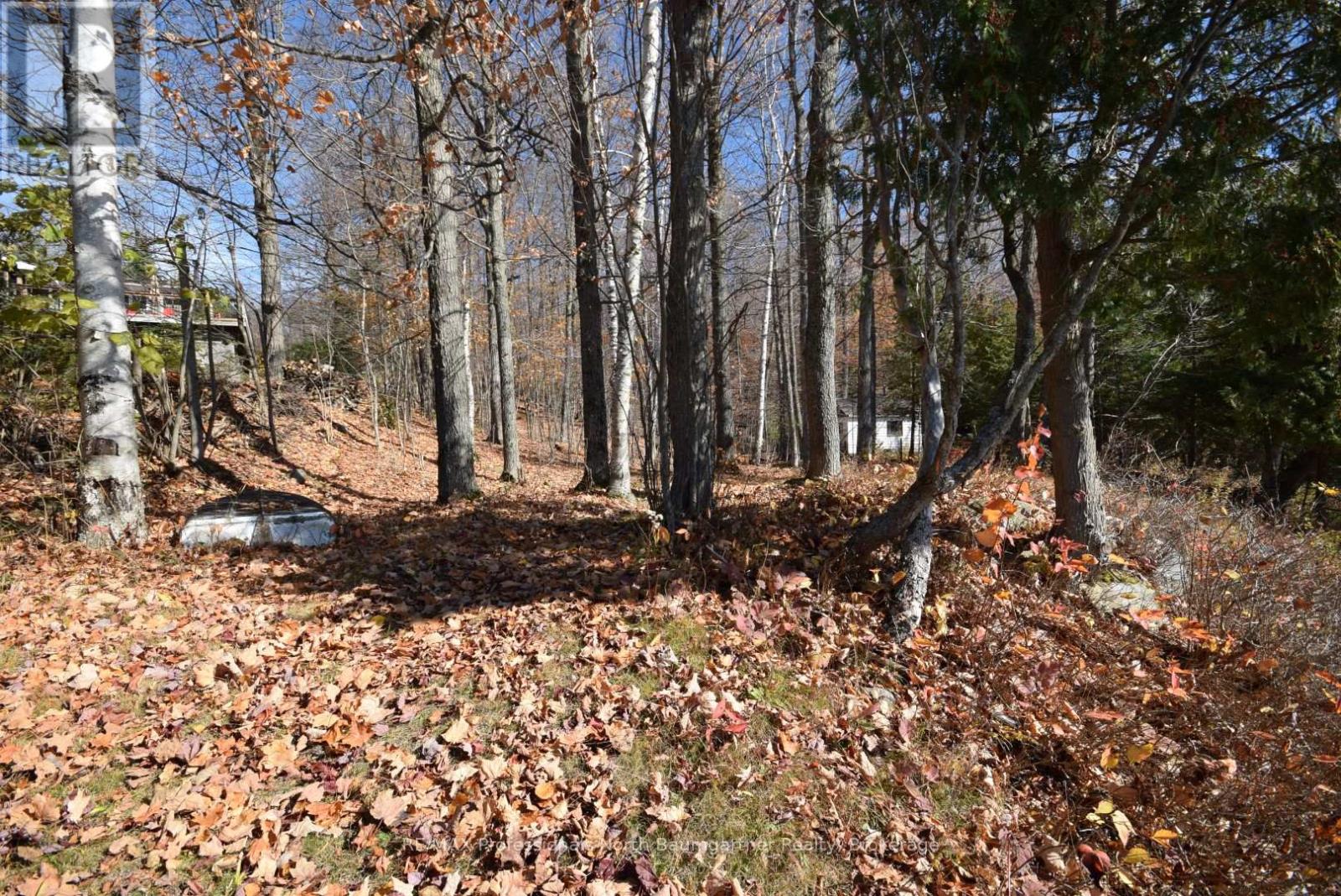 Lt 51 Wenona Lake Road, Dysart Et Al (Dudley), Ontario  K0M 1S0 - Photo 32 - X11953943