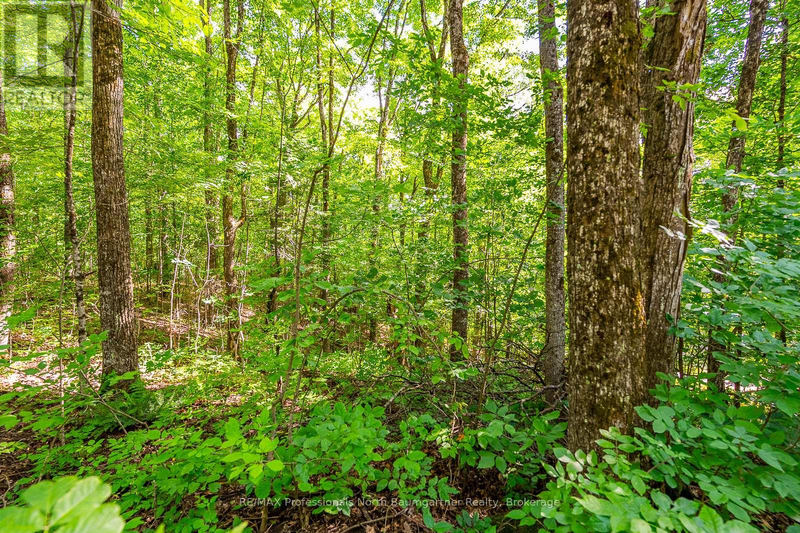 Lt 51 Wenona Lake Road, Dysart Et Al (Dudley), Ontario  K0M 1S0 - Photo 5 - X11953943