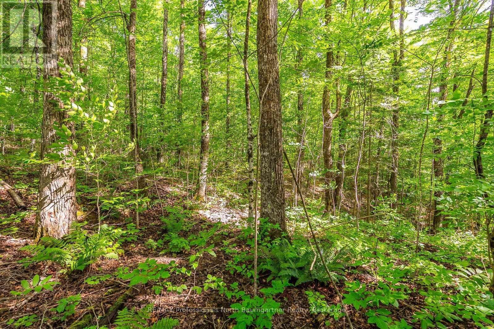 Lt 51 Wenona Lake Road, Dysart Et Al (Dudley), Ontario  K0M 1S0 - Photo 6 - X11953943