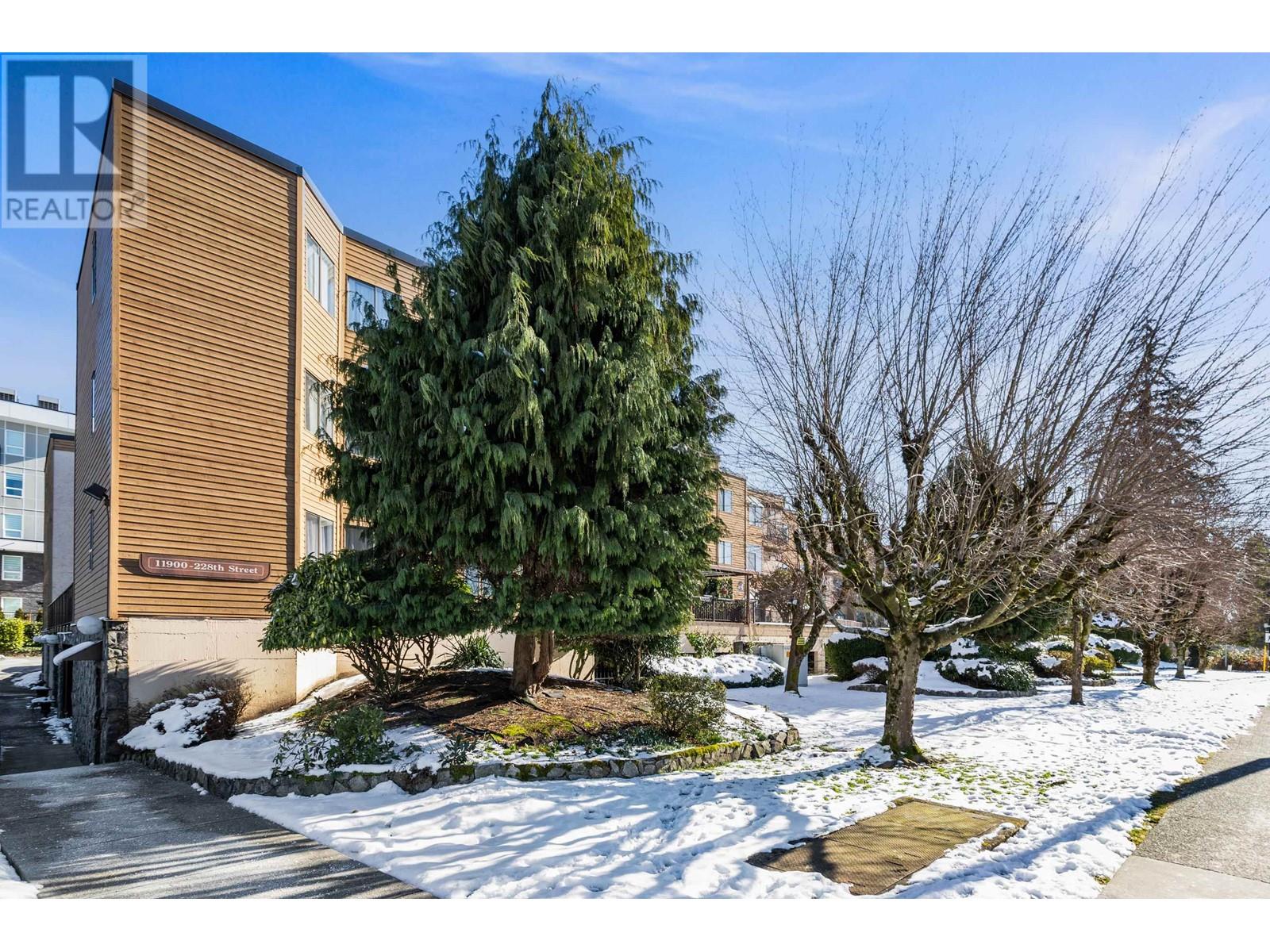 11 11900 228 Street, Maple Ridge, British Columbia  V2X 6L9 - Photo 2 - R2965764