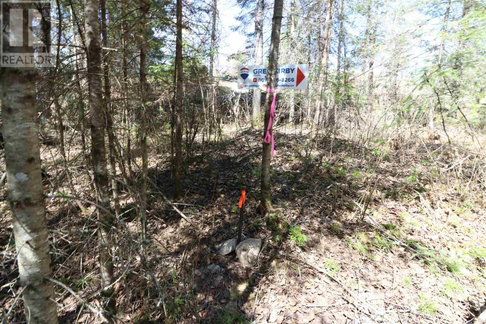 Lot 152 Plan M222, Minaki, Ontario  P0X 1J0 - Photo 11 - TB250065