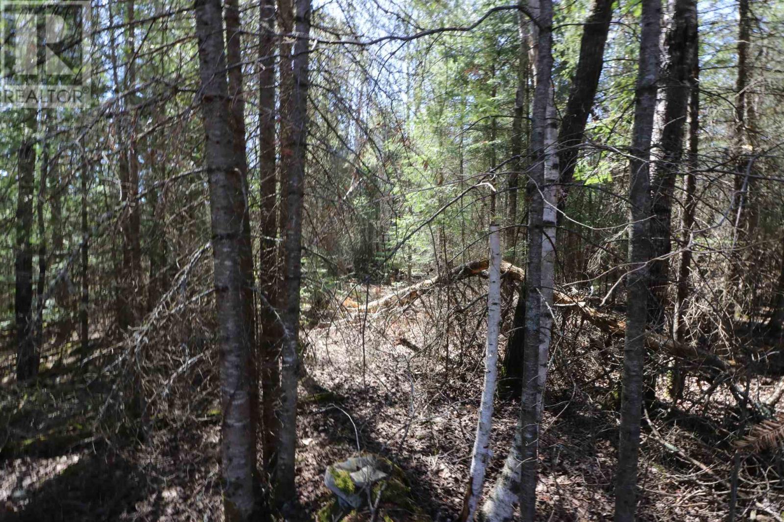 Lot 152 Plan M222, Minaki, Ontario  P0X 1J0 - Photo 19 - TB250065