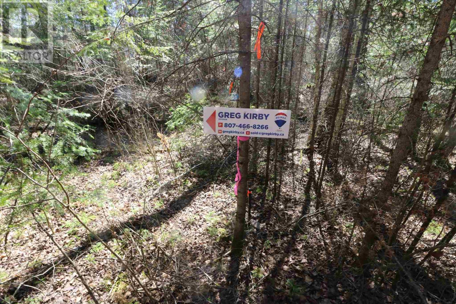 Lot 152 Plan M222, Minaki, Ontario  P0X 1J0 - Photo 9 - TB250065