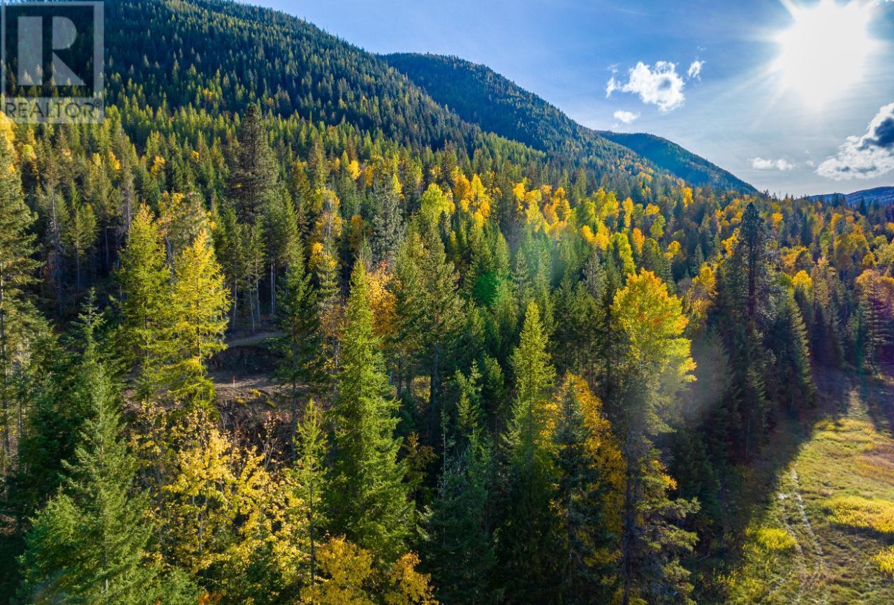 Lot 1 Corn Creek Road, Creston, British Columbia  V0B 1G7 - Photo 12 - 10334915