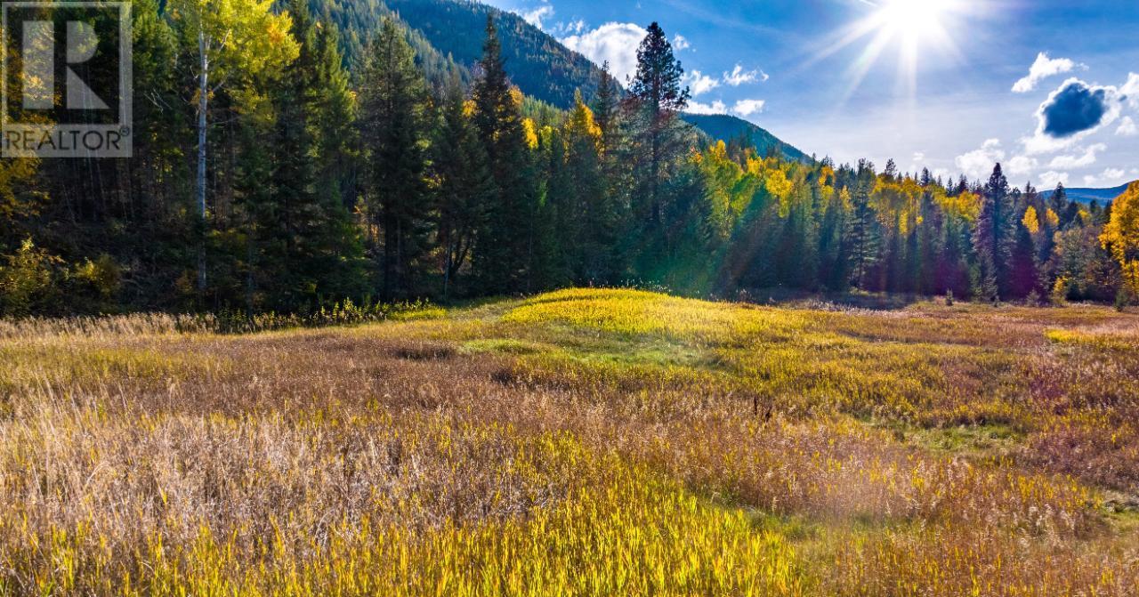 Lot 1 Corn Creek Road, Creston, British Columbia  V0B 1G7 - Photo 4 - 10334915