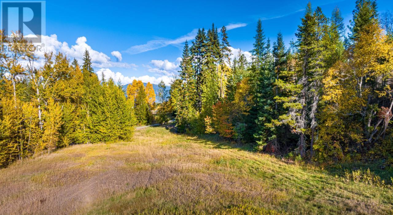 Lot 1 Corn Creek Road, Creston, British Columbia  V0B 1G7 - Photo 20 - 10334915