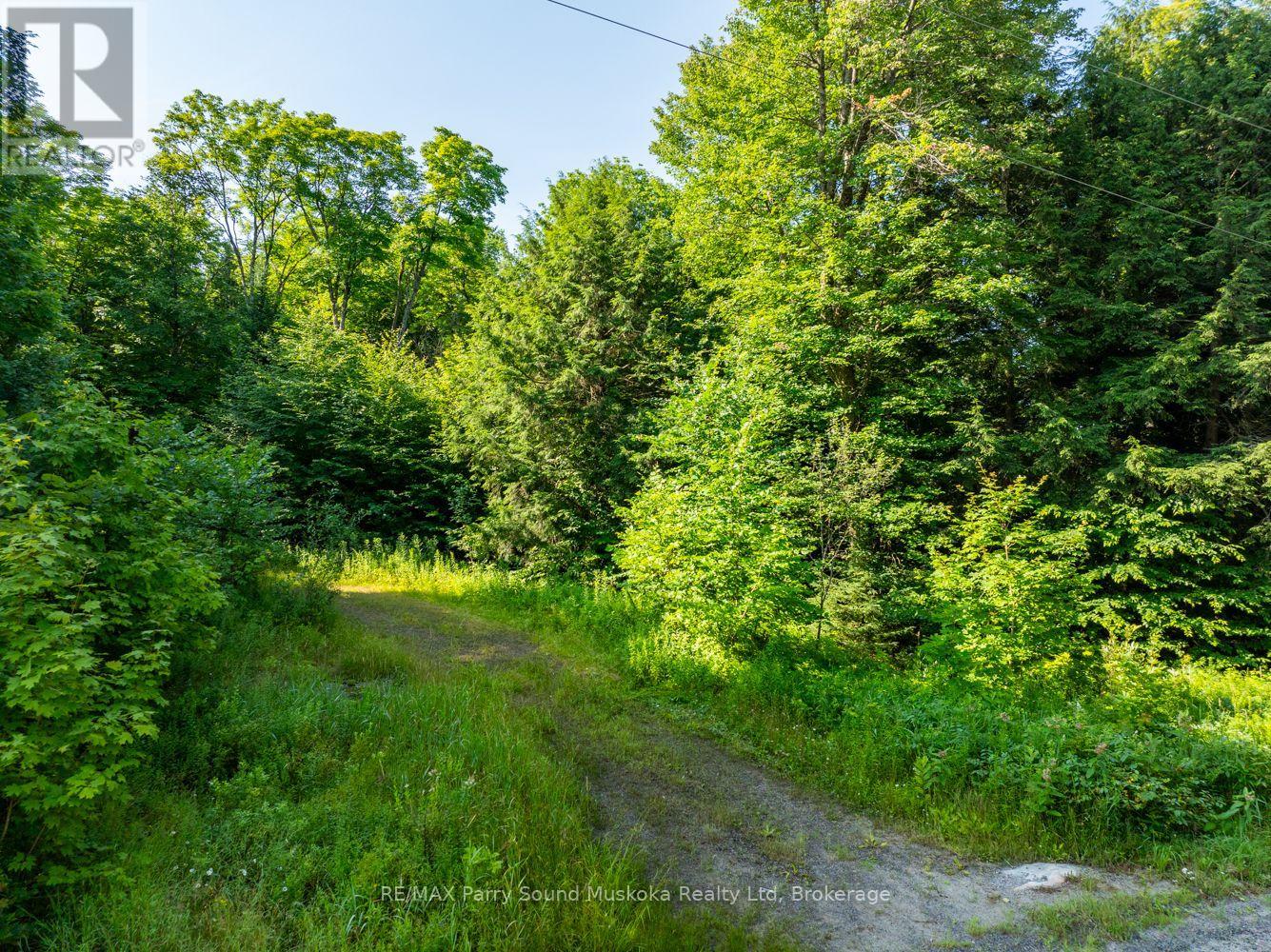 1650 Hekkla Road, Muskoka Lakes, Ontario  P0C 1J0 - Photo 11 - X11968774